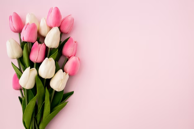 15 Interesting Facts About Tulips You Have To Read