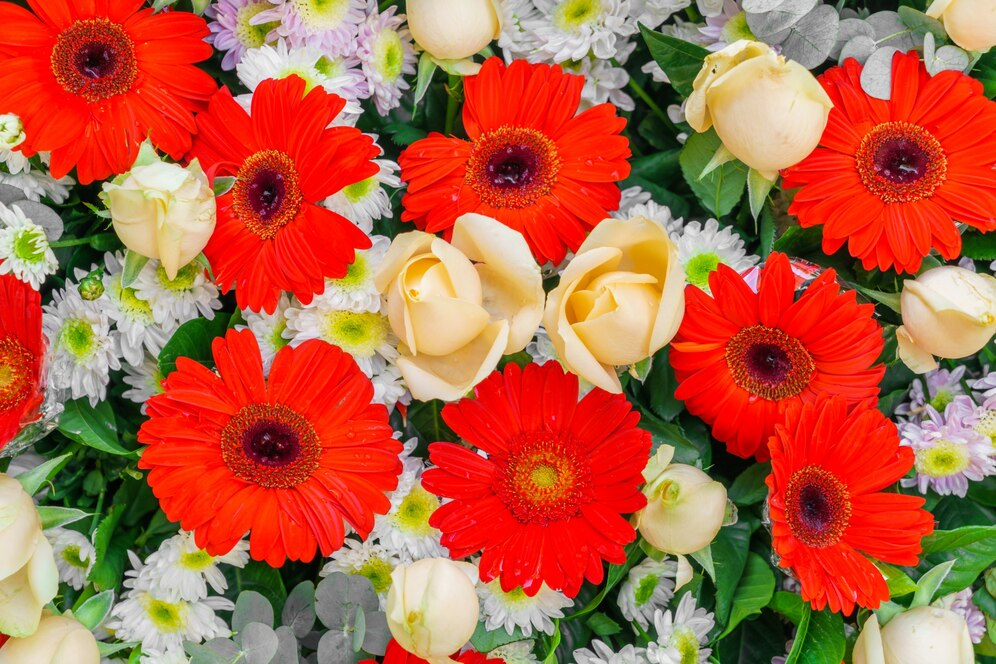 4 Beautiful Flowers That Represent Family Bonds