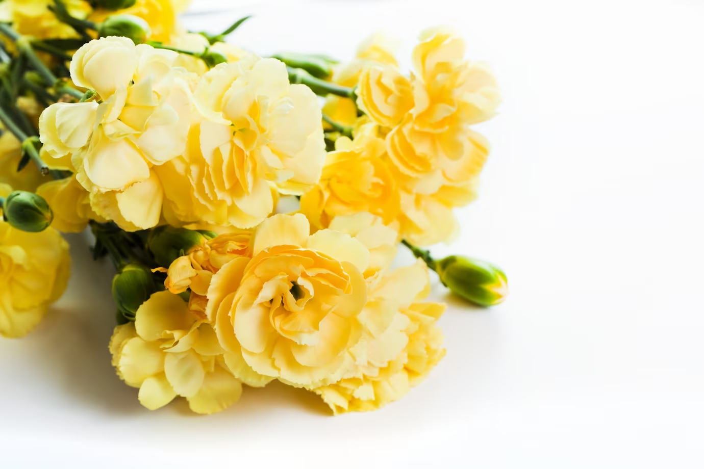 What Are The Meanings Of These 10 Yellow Flowers?