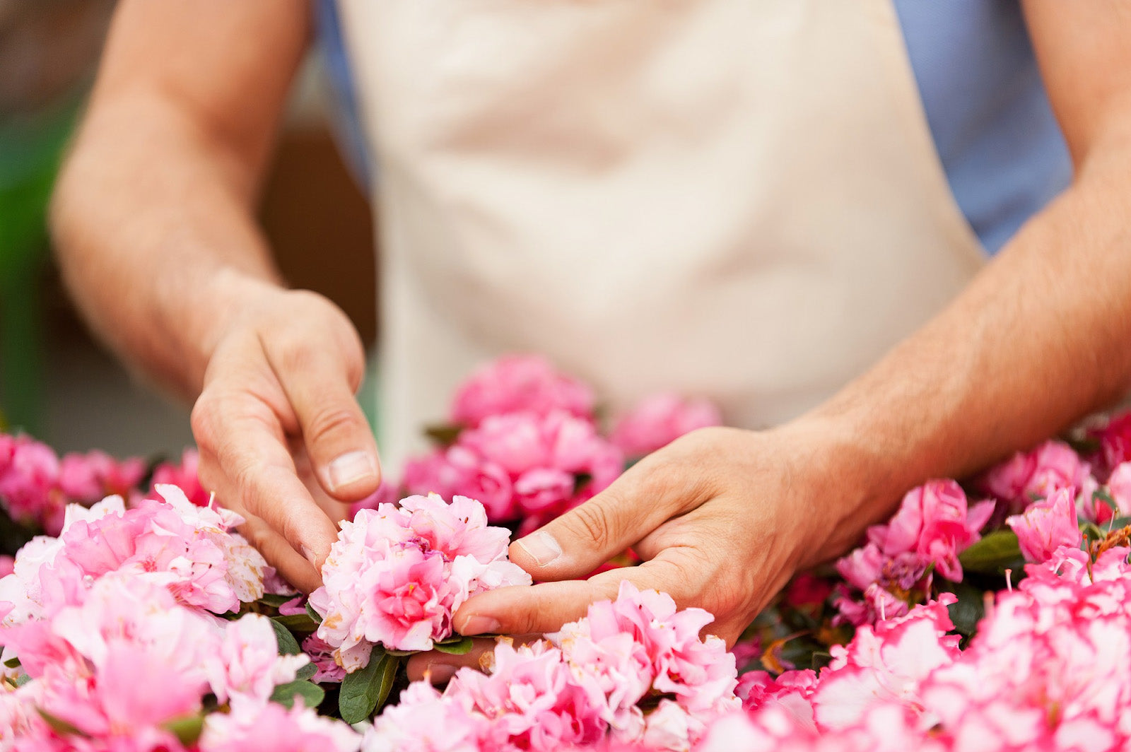 How To Press Carnations? 9 Pressing Techniques To Keep Them Fresh