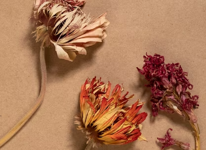 How To Dry Out Flowers Fast In 7 Ways: [Beginner-Friendly]