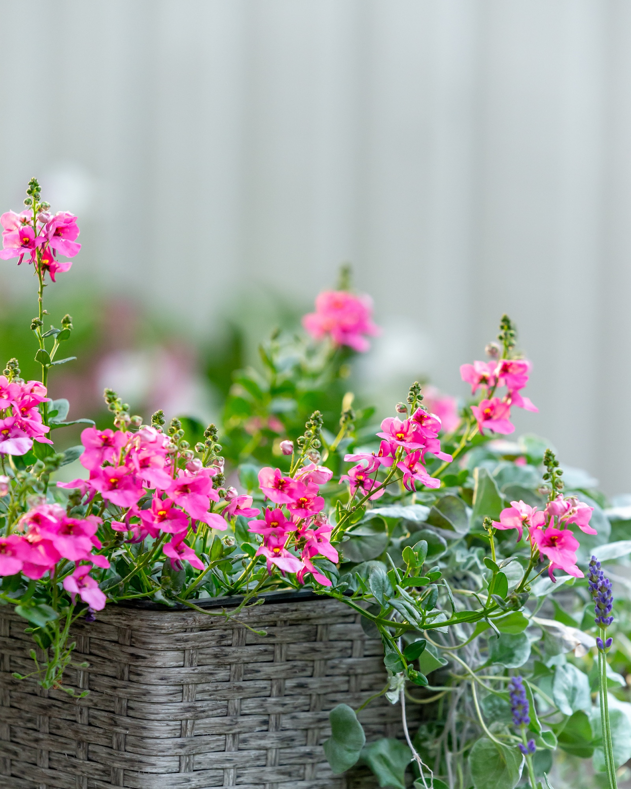 15 Interesting Facts About Flowers (#3 Will Shock You!)
