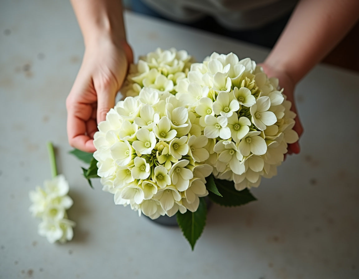 How To Take Care Of Hydrangea Bouquets: 9 Simple Steps