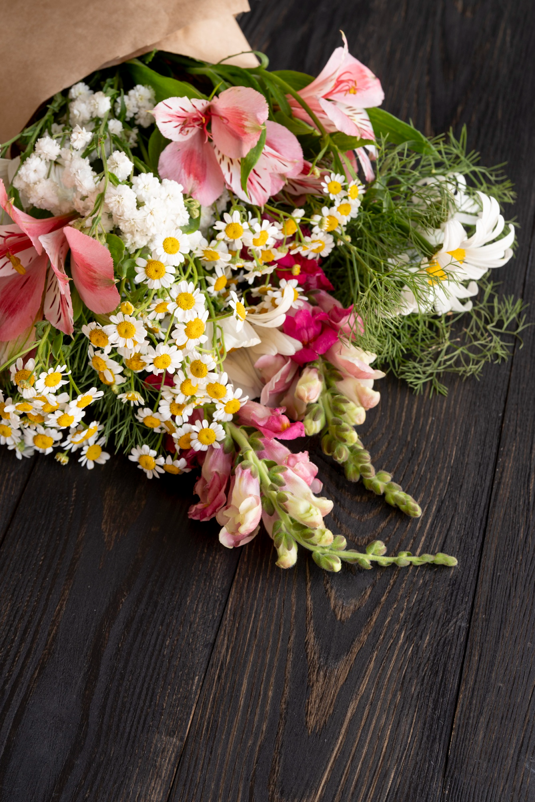 Flowers For New Beginnings: 25 Flowers Representing A Fresh Start