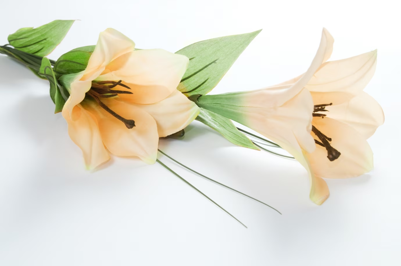 12 Types Of White Lily Flowers And What They Mean
