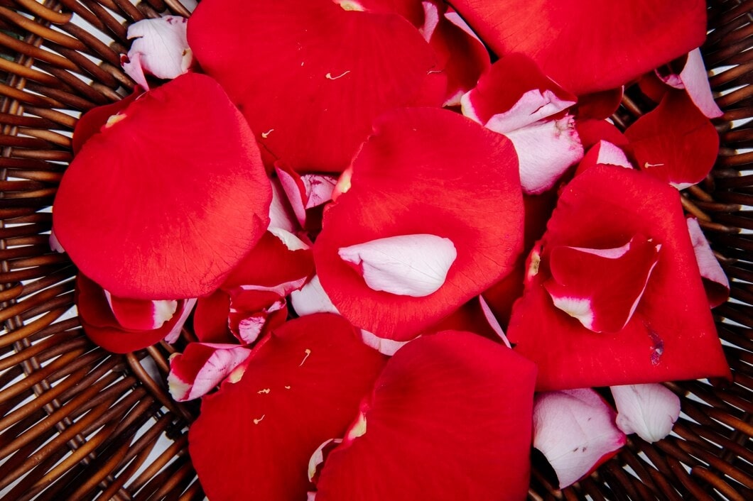 How To Keep Rose Petals Fresh And Beautiful In 9 Easy Ways