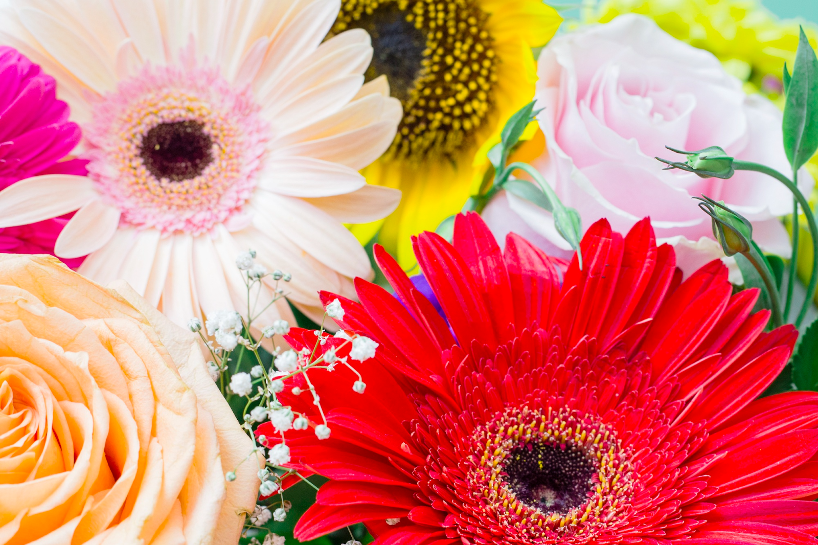 15 Best Flowers For Teachers To Brighten Their Day And Show Appreciation