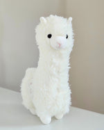 Alpaca VDAY - Gift Add-On | Windflower Florist Singapore