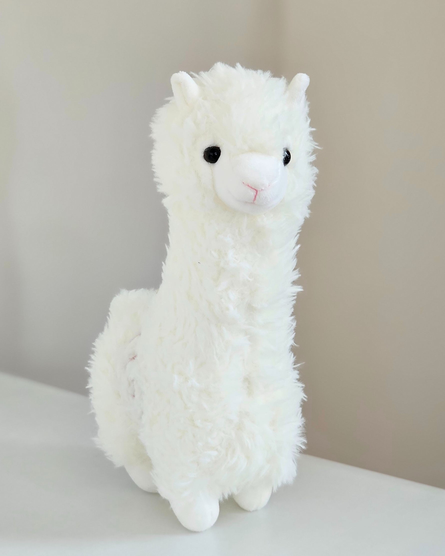Alpaca VDAY - Gift Add-On | Windflower Florist Singapore