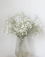 Baby's Breath (Wholesale) Flower Arrangement | Free Same-Day Flower Delivery Singapore