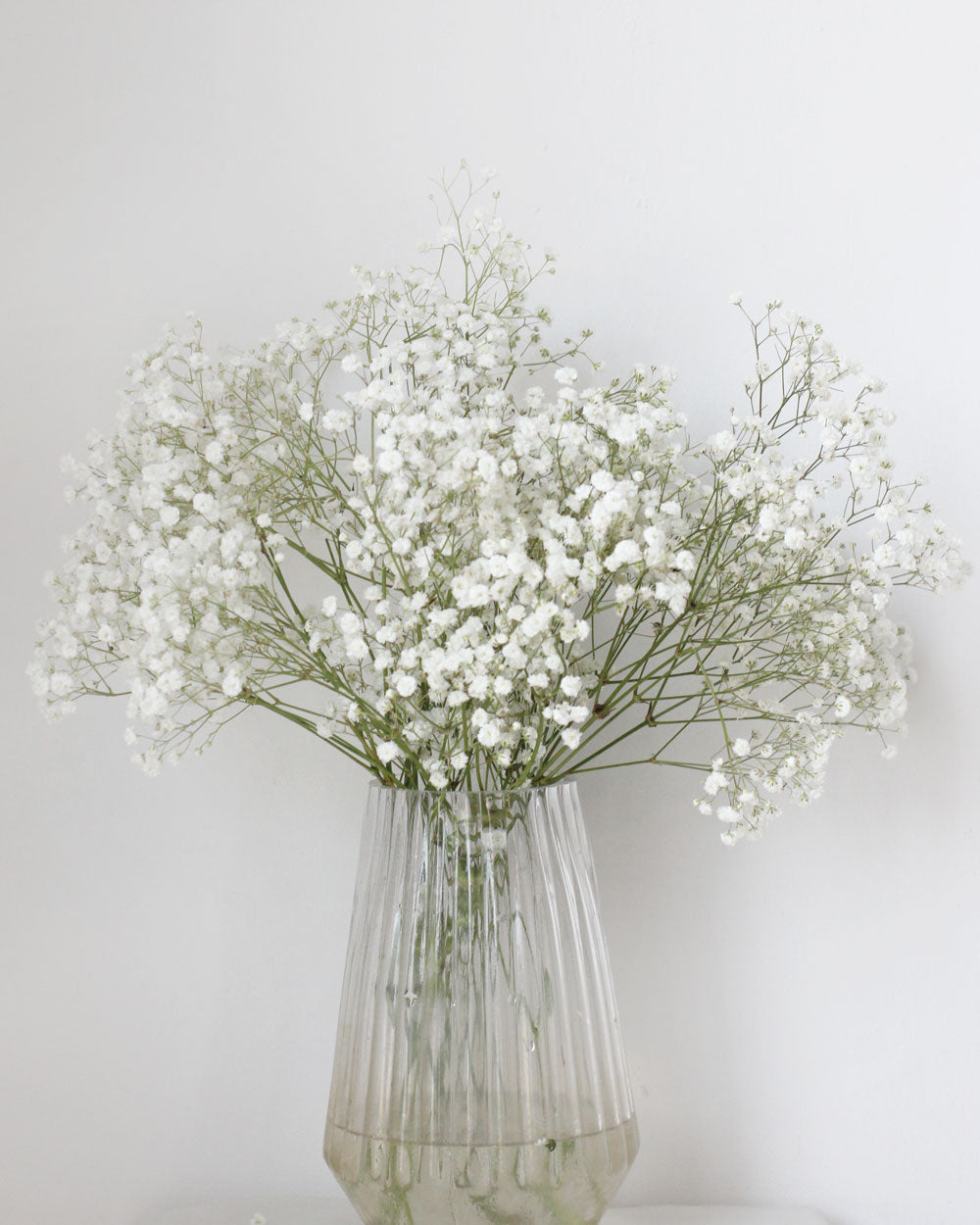 Baby's Breath (Wholesale) Flower Arrangement | Free Same-Day Flower Delivery Singapore