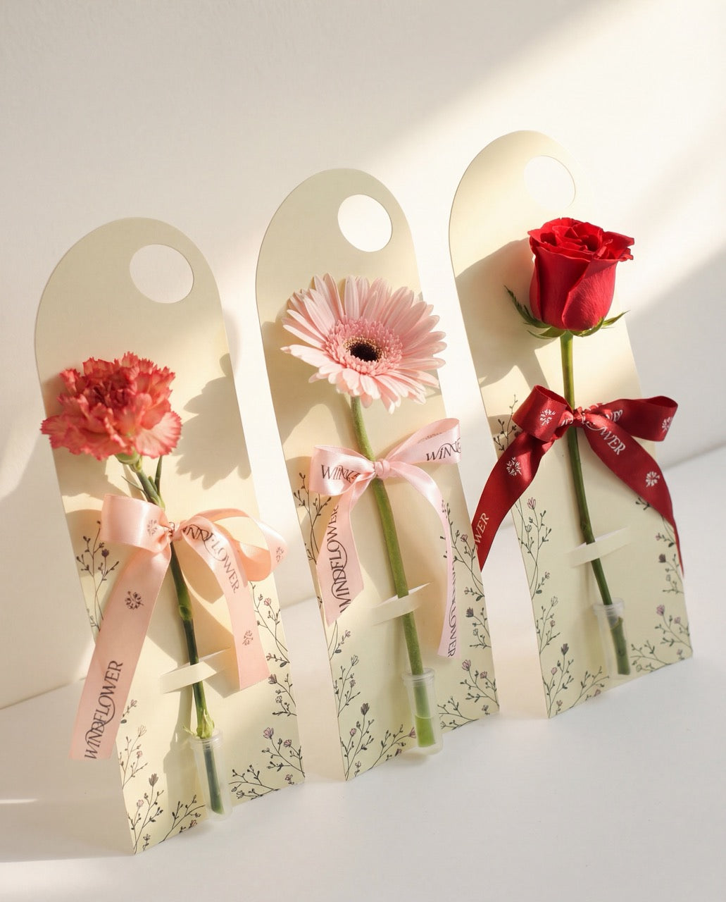 Single Stalk Gerbera Daisy Bundle