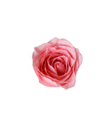 Rose (China) - Pink Flower Arrangement | Free Same-Day Flower Delivery Singapore