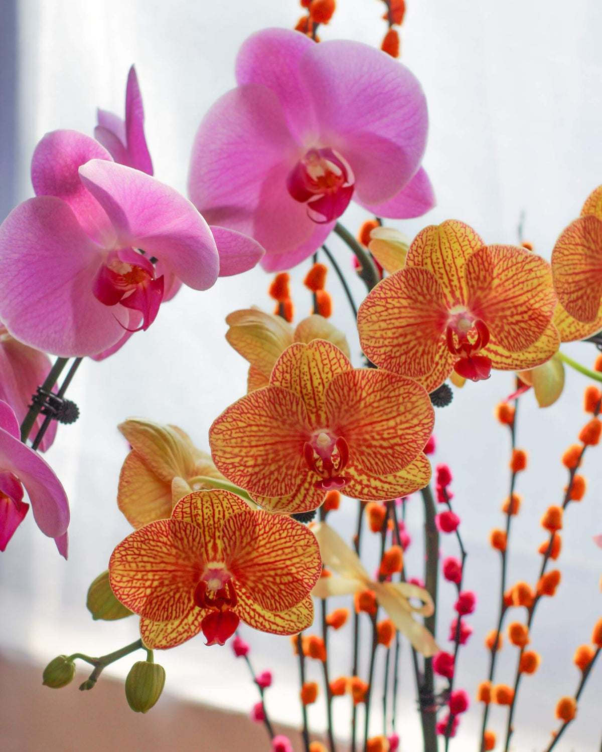 Prosperous Harmony - 2 Stalks