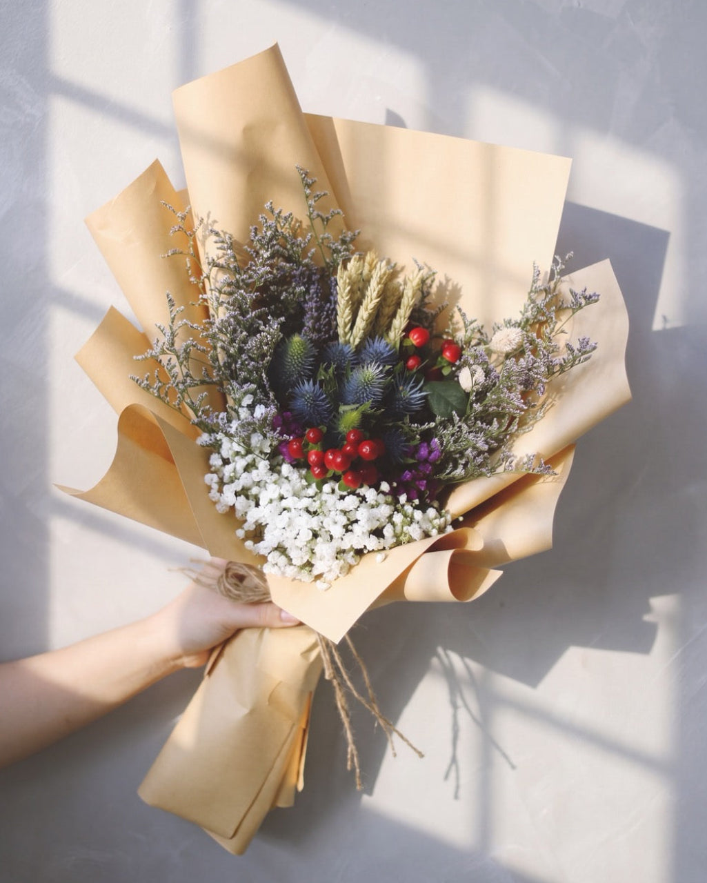 Eryngium Blooms