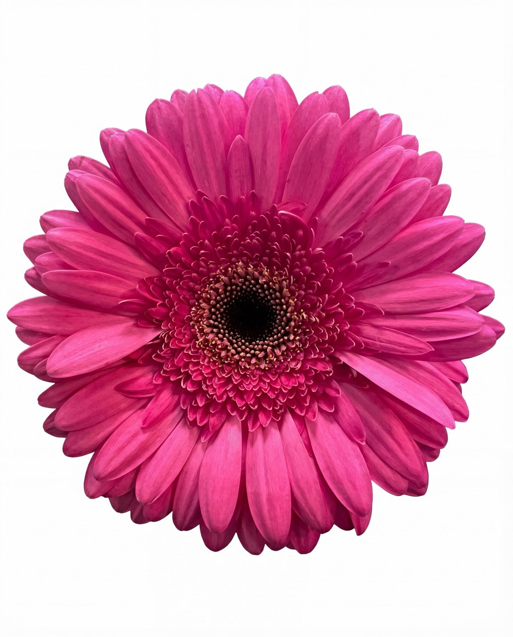 清新别致的餐桌中心装饰品——充满奇思妙想