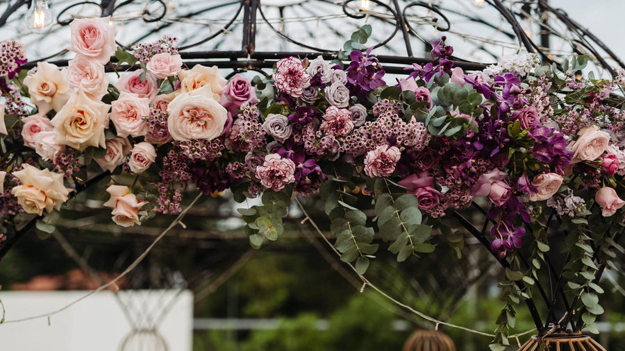 Windflower wedding portfolio