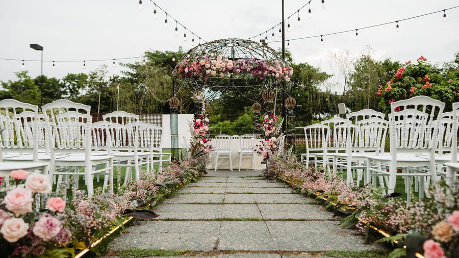 Windflower wedding portfolio