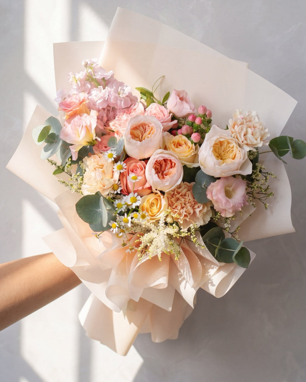 “5 Million” Rose Juliet