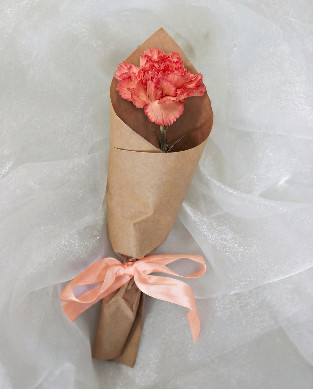Single Stalk Carnation Bundle