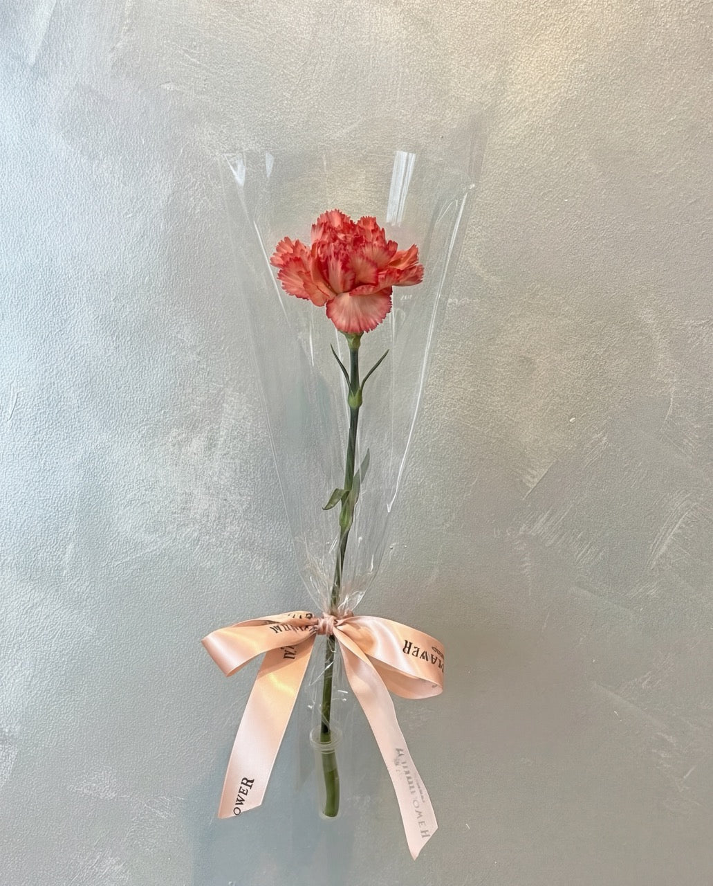 Single Stalk Carnation Bundle