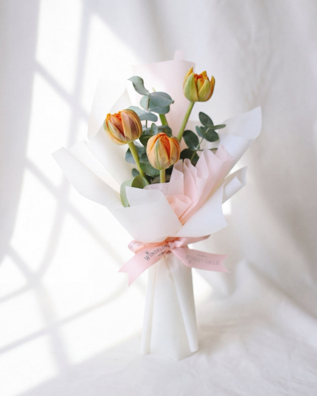 Tulip Orange