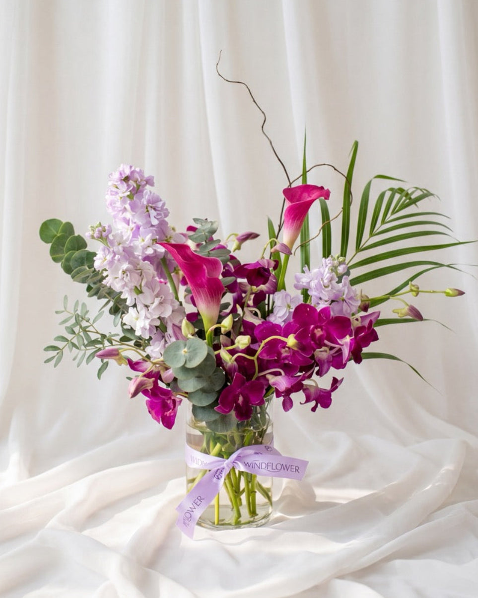 Dendrobium Grace