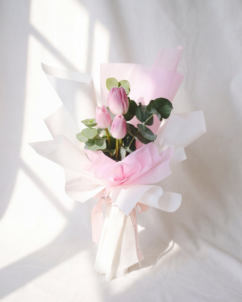 Tulip Pink