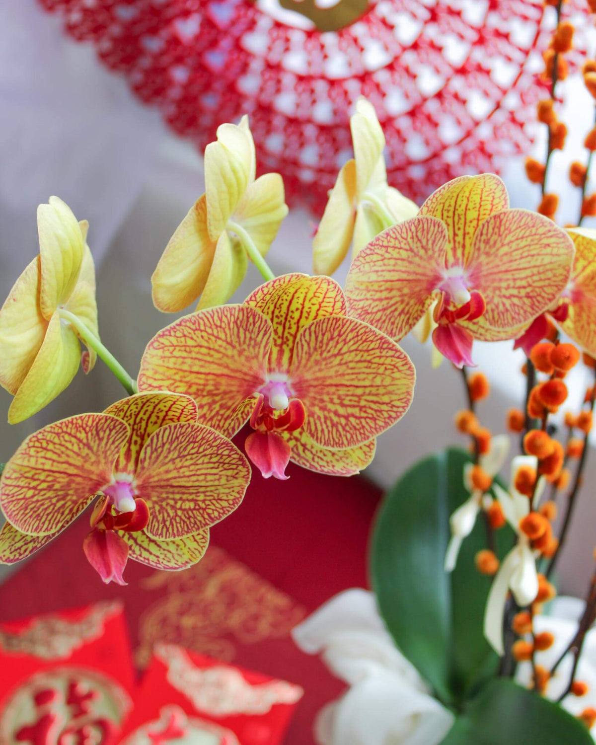 Prosperous Harmony - 1 Stalk