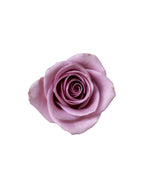 Rose (China) - Purple Flower Arrangement | Free Same-Day Flower Delivery Singapore