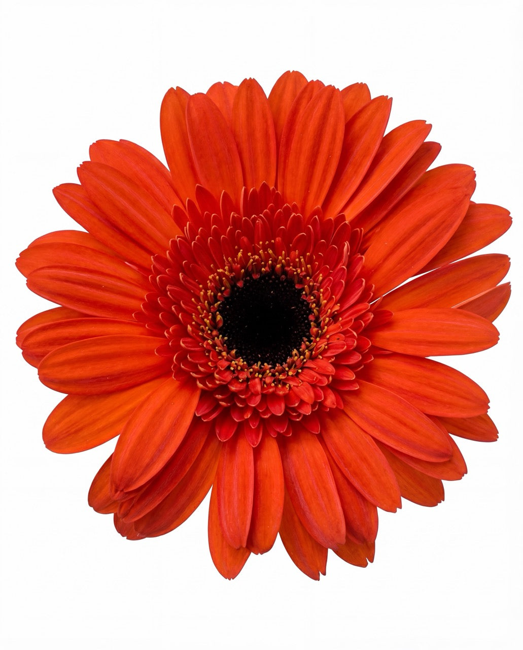 清新别致的餐桌中心装饰品——充满奇思妙想