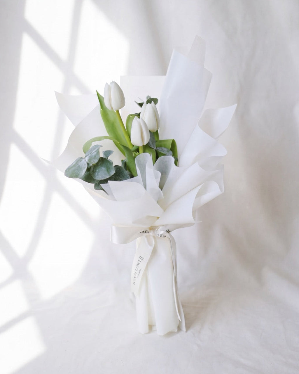 Tulip White