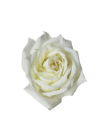 Single Stalk Rose Bundle Flower Arrangement - View 4 | Windflower Florist