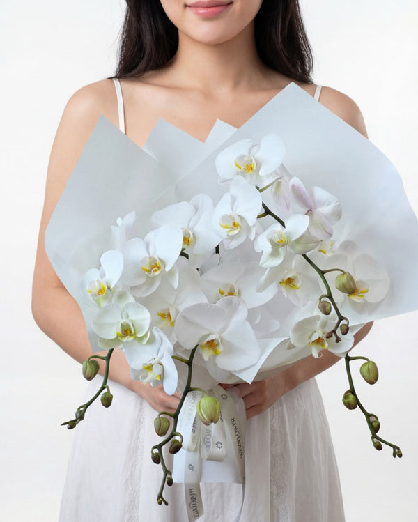 Opus Orchid