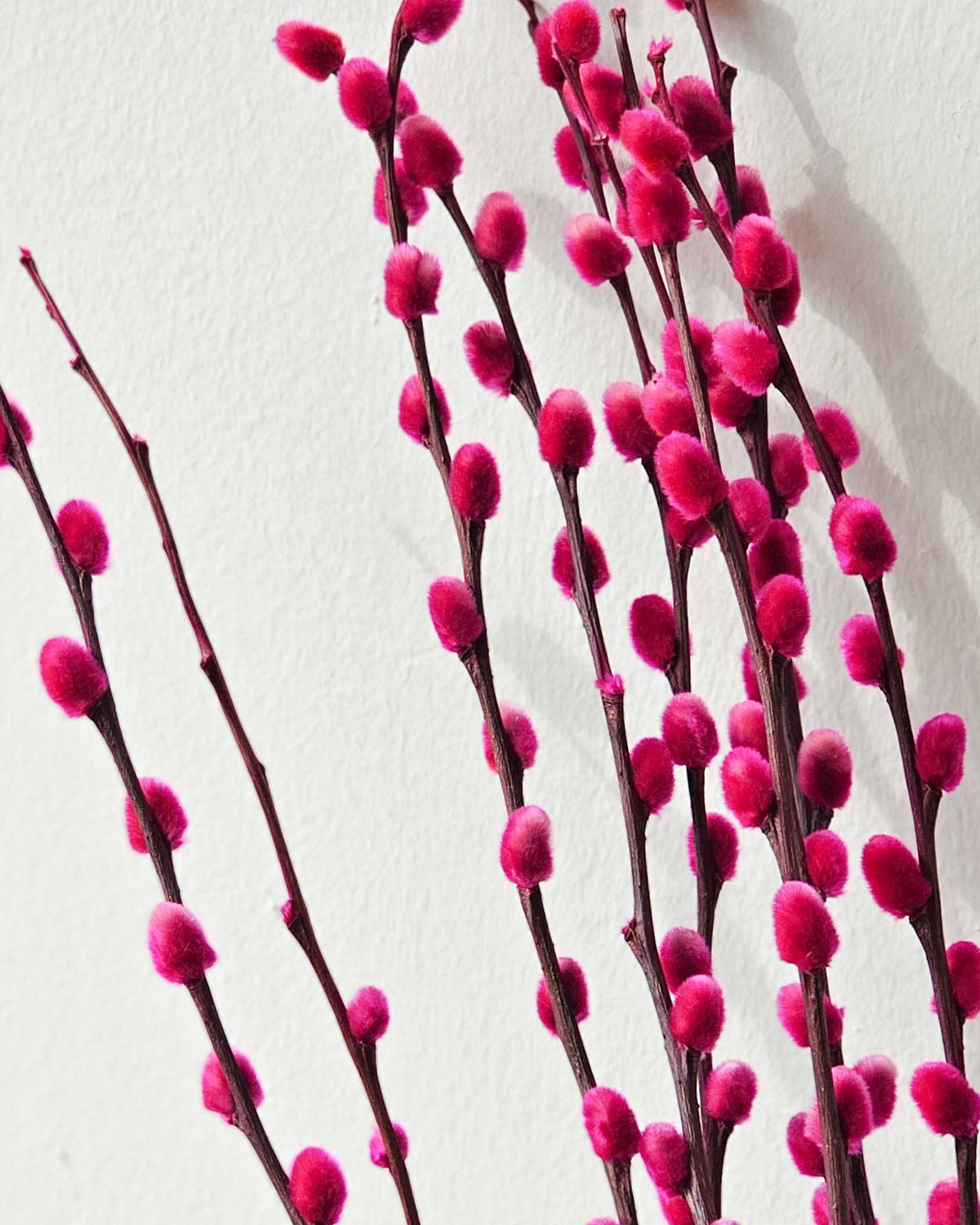 Pink Pussy Willow In Arrangement