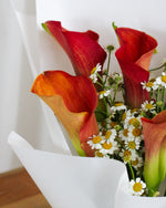 Calla Aura Hand Bouquet by Windflower Florist Singapore