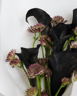 Calla Noir Hand Bouquet by Windflower Florist Singapore