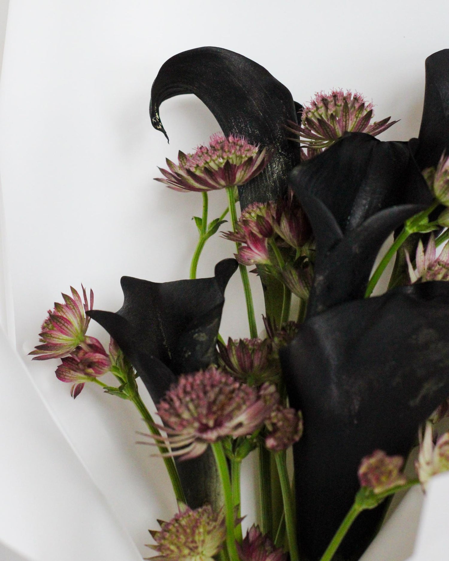 Calla Noir Hand Bouquet by Windflower Florist Singapore