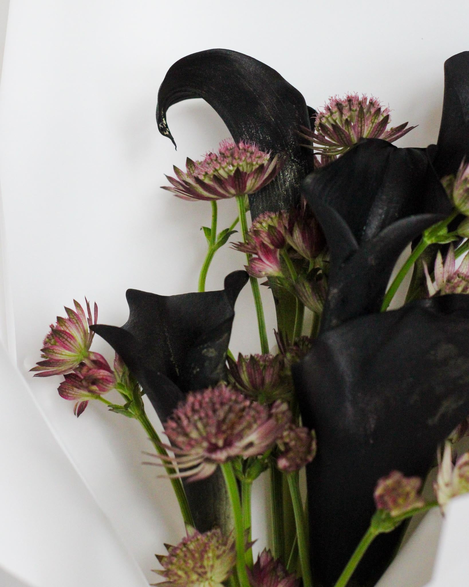 Calla Noir Hand Bouquet by Windflower Florist Singapore