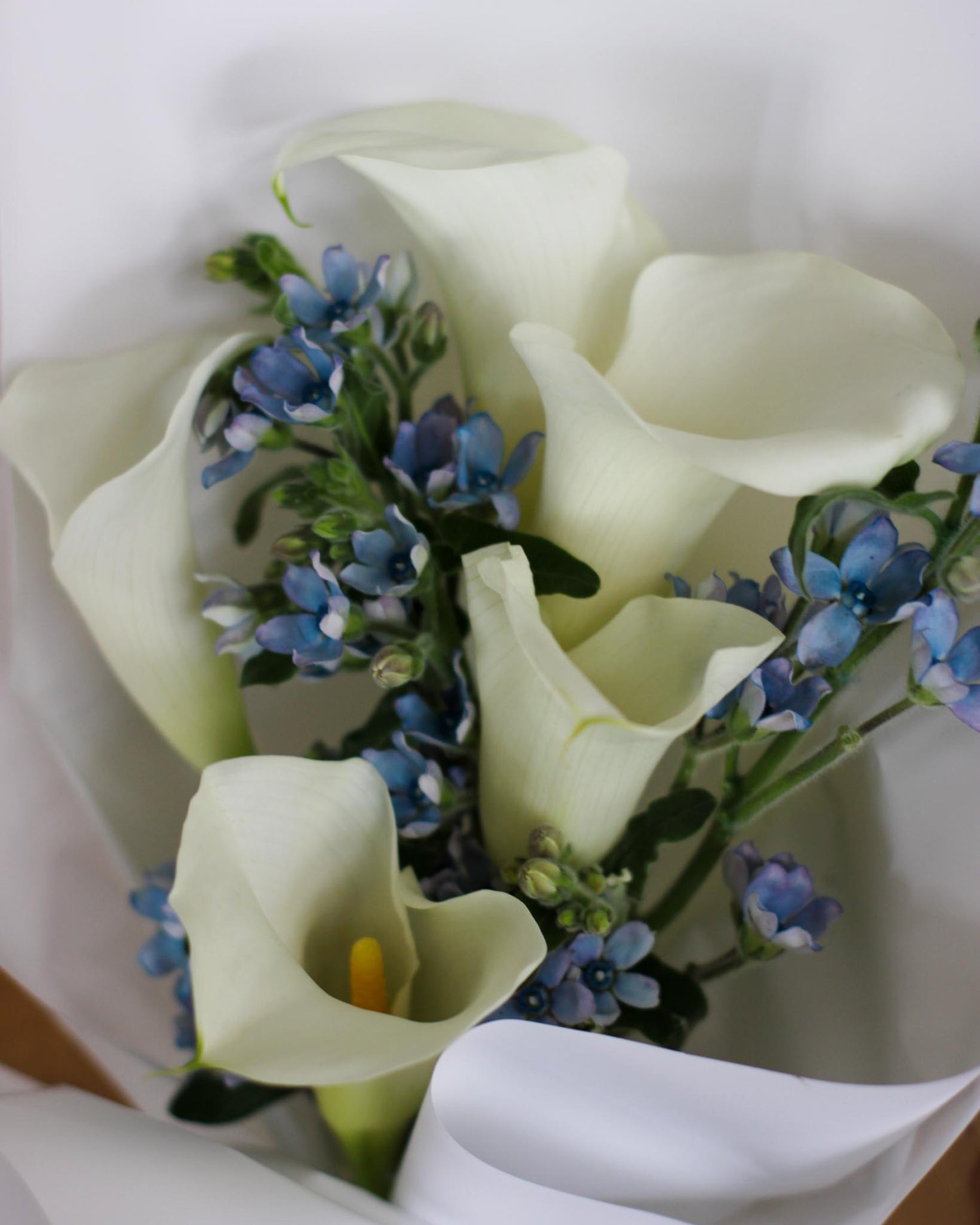 Calla Solace Hand Bouquet by Windflower Florist Singapore
