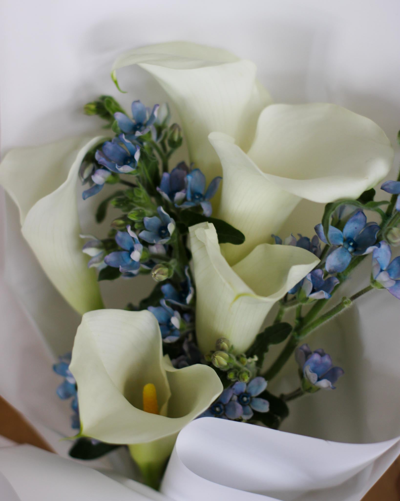 Calla Solace Hand Bouquet by Windflower Florist Singapore