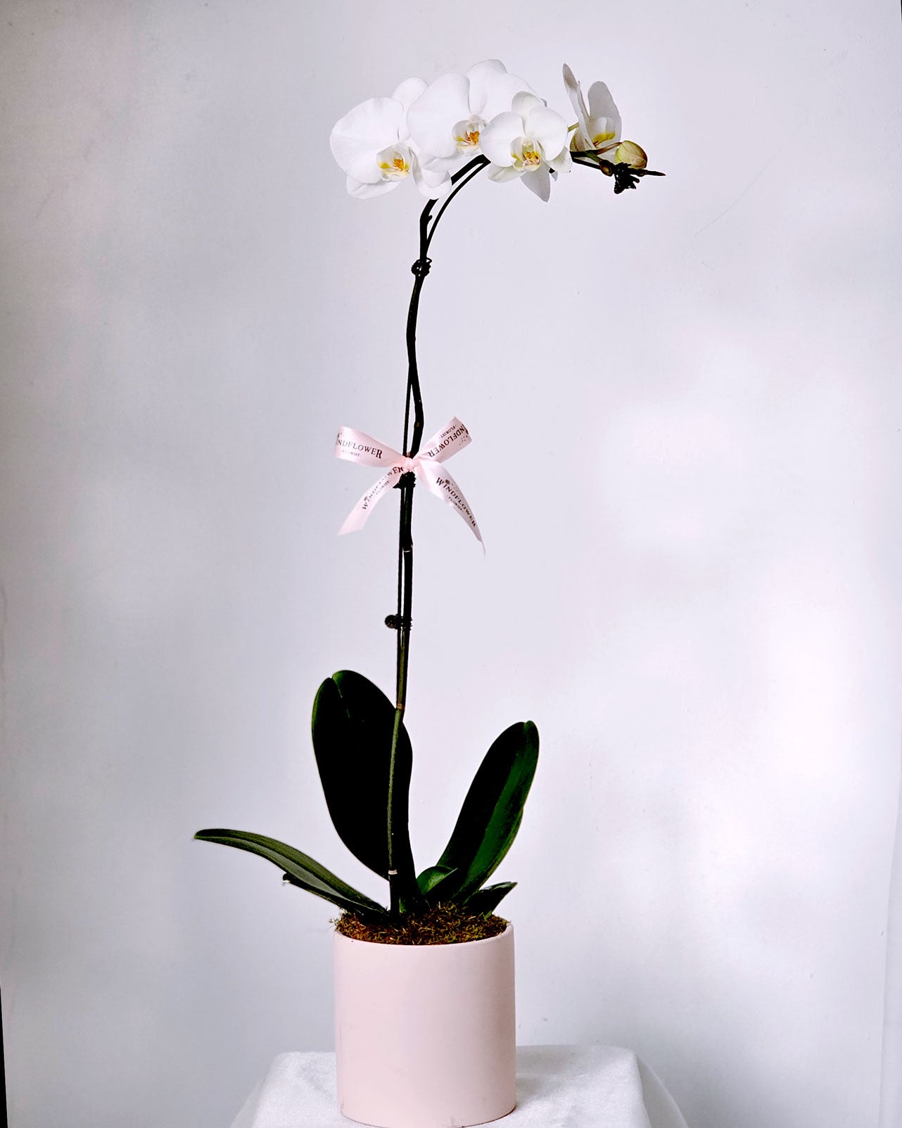 Phalaenopsis Orchid Table Flower Arrangement by Windflower Florist Singapore