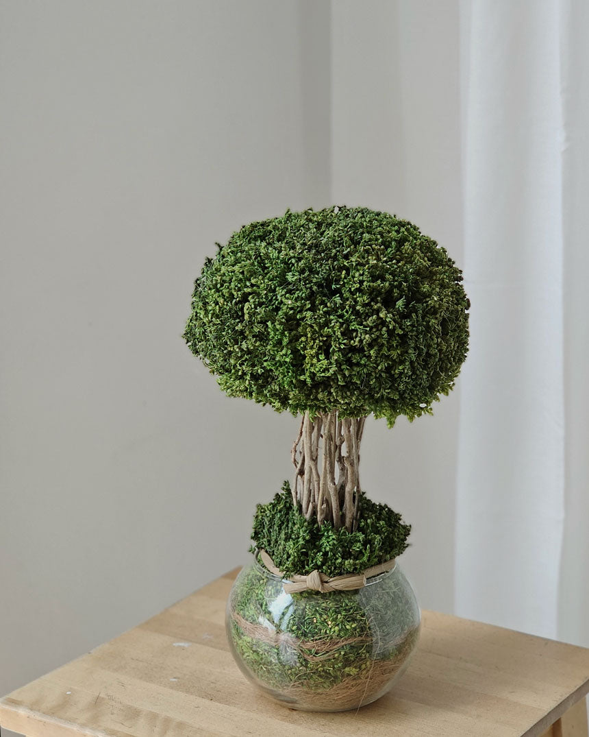 Urban Green Table Flower Arrangement | Free Same-Day Flower Delivery Singapore