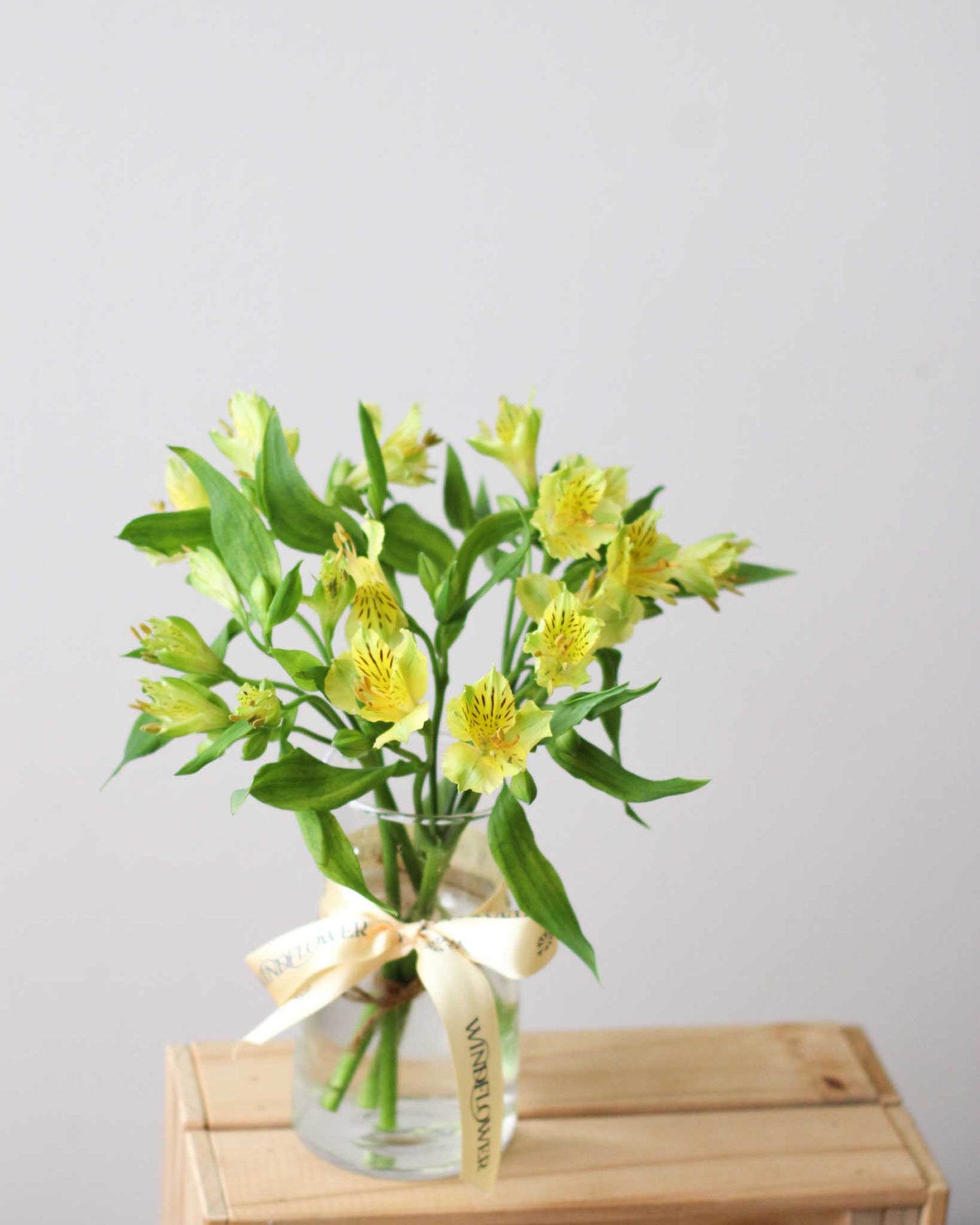 Subscription Flowers - Alstroemeria Flower Arrangement | Free Same-Day Flower Delivery Singapore