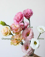 Subscription Flowers - Eustoma Flower Arrangement by Windflower Florist Singapore