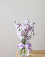 Subscription Flowers - Matthiola Flower Arrangement | Free Same-Day Flower Delivery Singapore