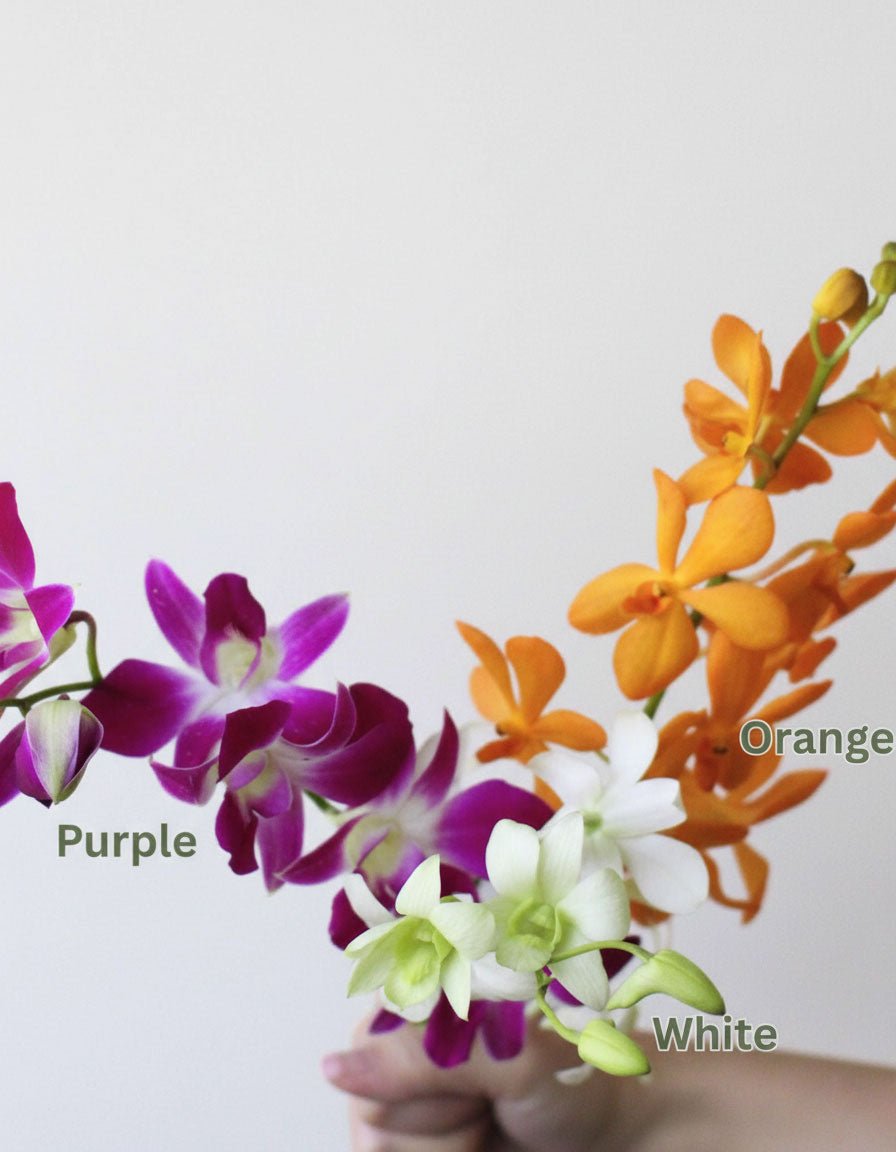 Subscription Flowers - Orchid Flower Arrangement by Windflower Florist Singapore