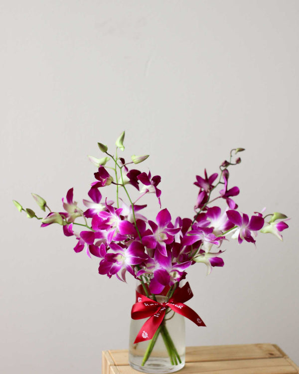 Subscription Flowers - Orchid Flower Arrangement | Free Same-Day Flower Delivery Singapore