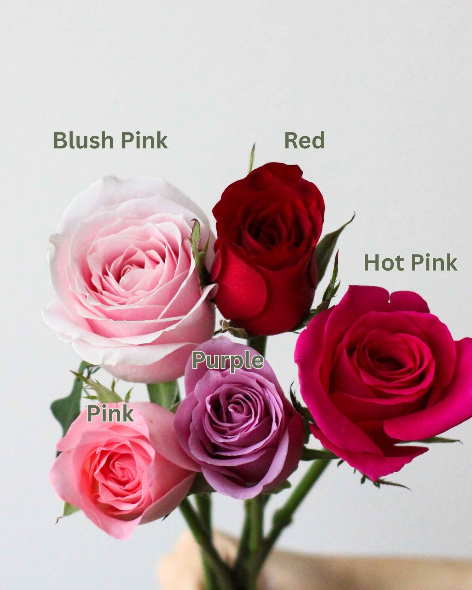 Subscription Flowers - Rose Flower Arrangement by Windflower Florist Singapore