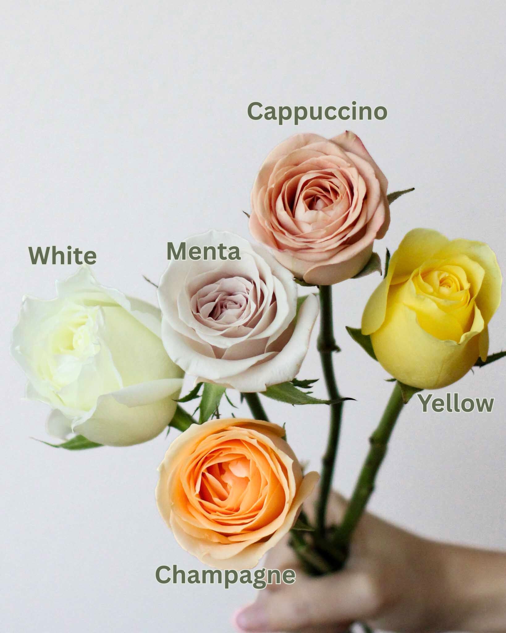 Subscription Flowers - Rose Flower Arrangement - View 3 | Windflower Florist